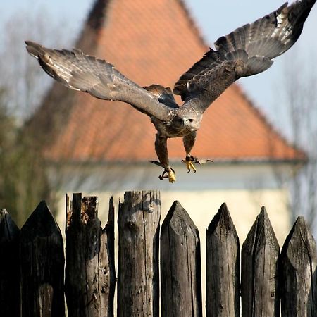 Penzion Melodia Kanianka Экстерьер фото